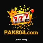 pak804 Game