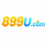 899U Game