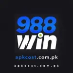 988Wn Game