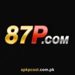 87P Game