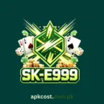 SK E999 Game